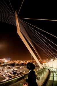 Il ponte di Calatrava