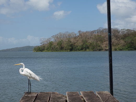 L'approdo
