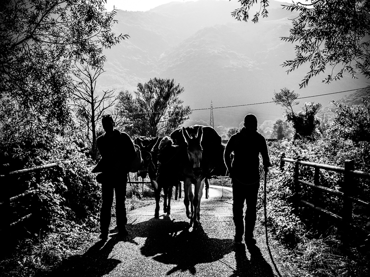 Il cambio di luce