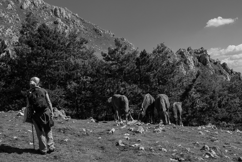 Pellegrinaggio a Viggiano