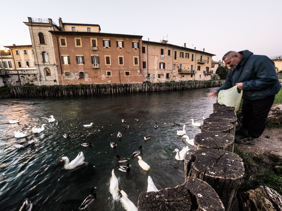 Marco getta cibo alle oche e alle anatre nelle acque del Velino
