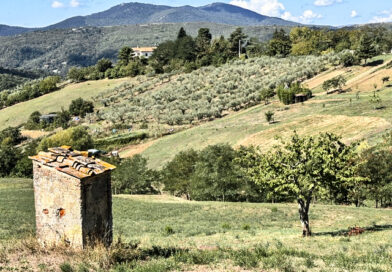 Bivigliano-Pratolino/Passavamo sulla terra leggeri