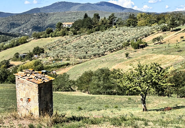 Bivigliano-Pratolino/Passavamo sulla terra leggeri
